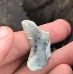 Unverified at suppressed - suppressed