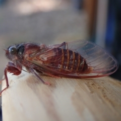 Unidentified at suppressed - 2 Dec 2022