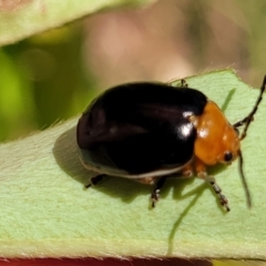 Unverified at suppressed - suppressed