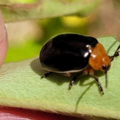 Unverified at suppressed - suppressed