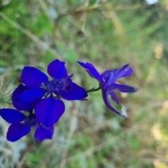 Unverified at suppressed - suppressed