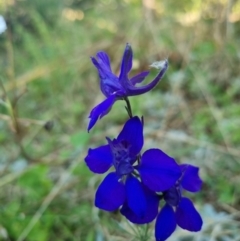 Unverified at suppressed - suppressed