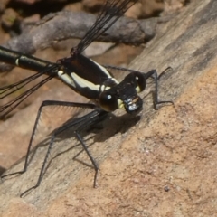 Unidentified at suppressed - 16 Oct 2022