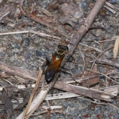 Unverified at suppressed - suppressed