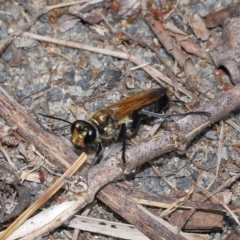 Unverified at suppressed - suppressed