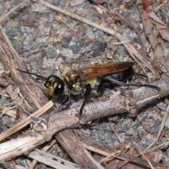 Unverified at suppressed - suppressed