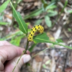 Unverified at suppressed - suppressed