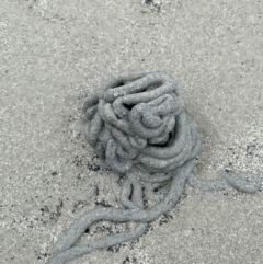 Unverified at suppressed - suppressed