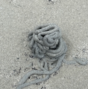 Unverified at suppressed - suppressed