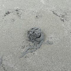 Unverified at suppressed - suppressed