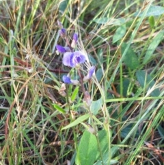 Glycine tabacina (Variable Glycine) at Molonglo Valley, ACT - 17 Jan 2023 by sangio7