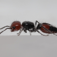 Unverified at suppressed - suppressed