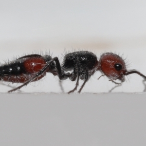 Unverified at suppressed - suppressed