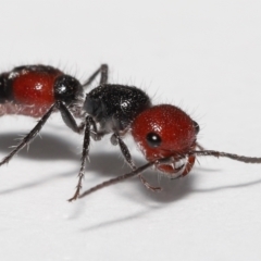 Unverified at suppressed - suppressed