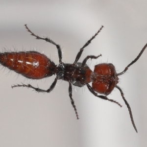 Unverified at suppressed - suppressed