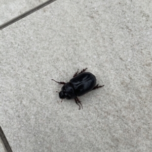 Unverified at suppressed - suppressed