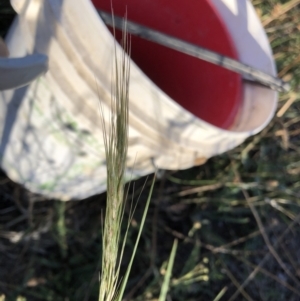 Unidentified at suppressed - 4 Feb 2023