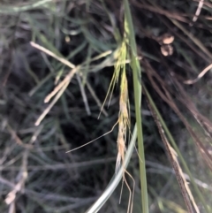 Unidentified at suppressed - 4 Feb 2023