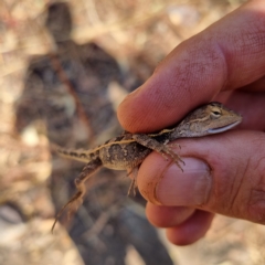 Unidentified at suppressed - 19 Aug 2022