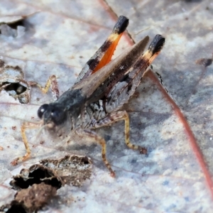 Unidentified at suppressed - 5 Mar 2023