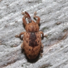 Unverified at suppressed - suppressed