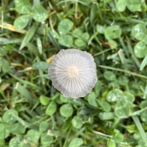 Unidentified at suppressed - 31 Jan 2023