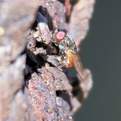 Unidentified at suppressed - 13 Mar 2023