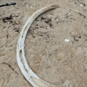 Unidentified at suppressed - 13 Mar 2023