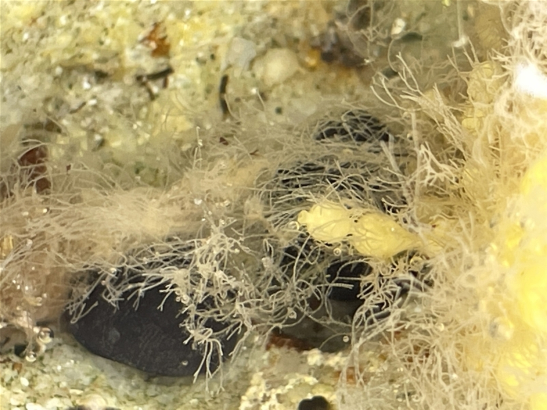 Unverified at suppressed - suppressed