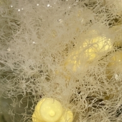 Unverified at suppressed - suppressed