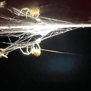 Unidentified at suppressed - 17 Jan 2023