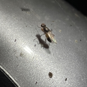 Unidentified at suppressed - 17 Jan 2023