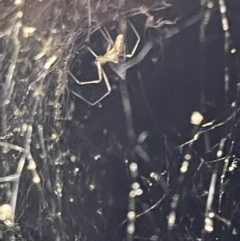 Unidentified at suppressed - 17 Jan 2023