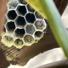 Unidentified at suppressed - 18 Jan 2023
