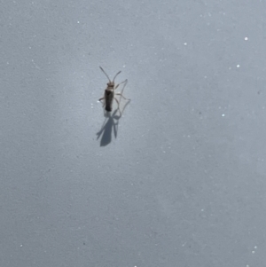 Unidentified at suppressed - 18 Jan 2023