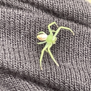 Unidentified at suppressed - 18 Jan 2023