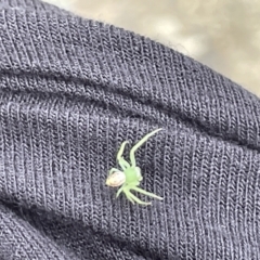 Unidentified at suppressed - 18 Jan 2023