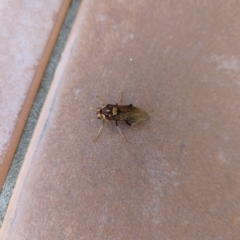 Unidentified at suppressed - 7 Mar 2023
