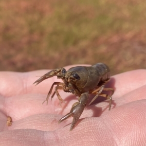 Unidentified at suppressed - 15 Mar 2023