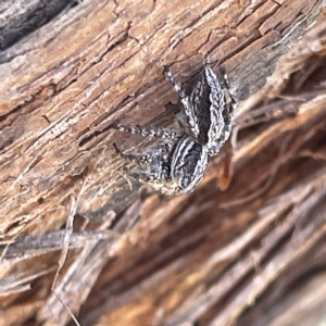 Unidentified at suppressed - 18 Mar 2023