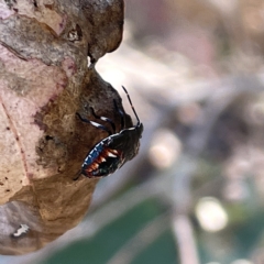 Unidentified at suppressed - 18 Mar 2023