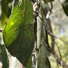 Unidentified at suppressed - 18 Mar 2023