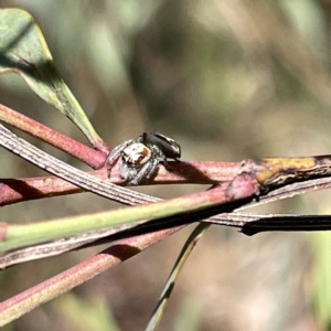 Unidentified at suppressed - 18 Mar 2023