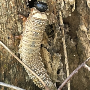 Unidentified at suppressed - 18 Mar 2023