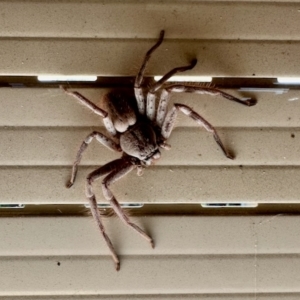 Unidentified at suppressed - 18 Mar 2023