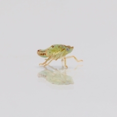 Unidentified at suppressed - 17 Mar 2023