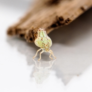 Unidentified at suppressed - 17 Mar 2023
