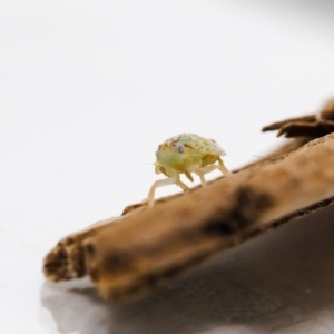 Unidentified at suppressed - 17 Mar 2023