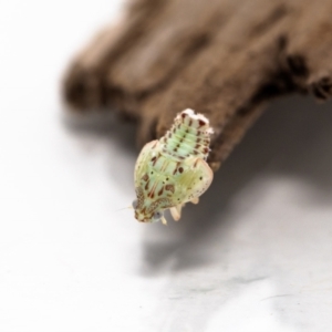 Unidentified at suppressed - 17 Mar 2023