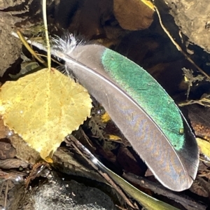 Unidentified at suppressed - 19 Mar 2023
